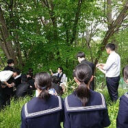 植生観察学習